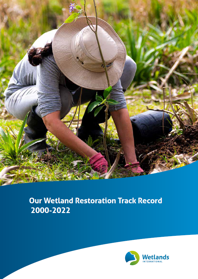 Wetlands International Our Wetland Restoration Track Record